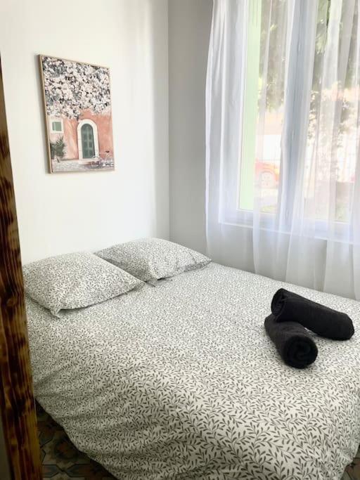 Apartamento Le Briguiboul Castres  Exterior foto